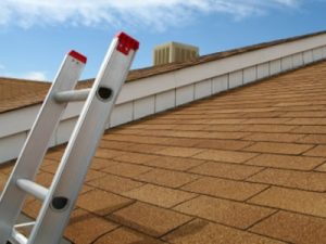 roof inspections lexington sc