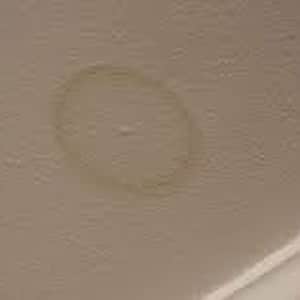 Roof Leak Water Spots
